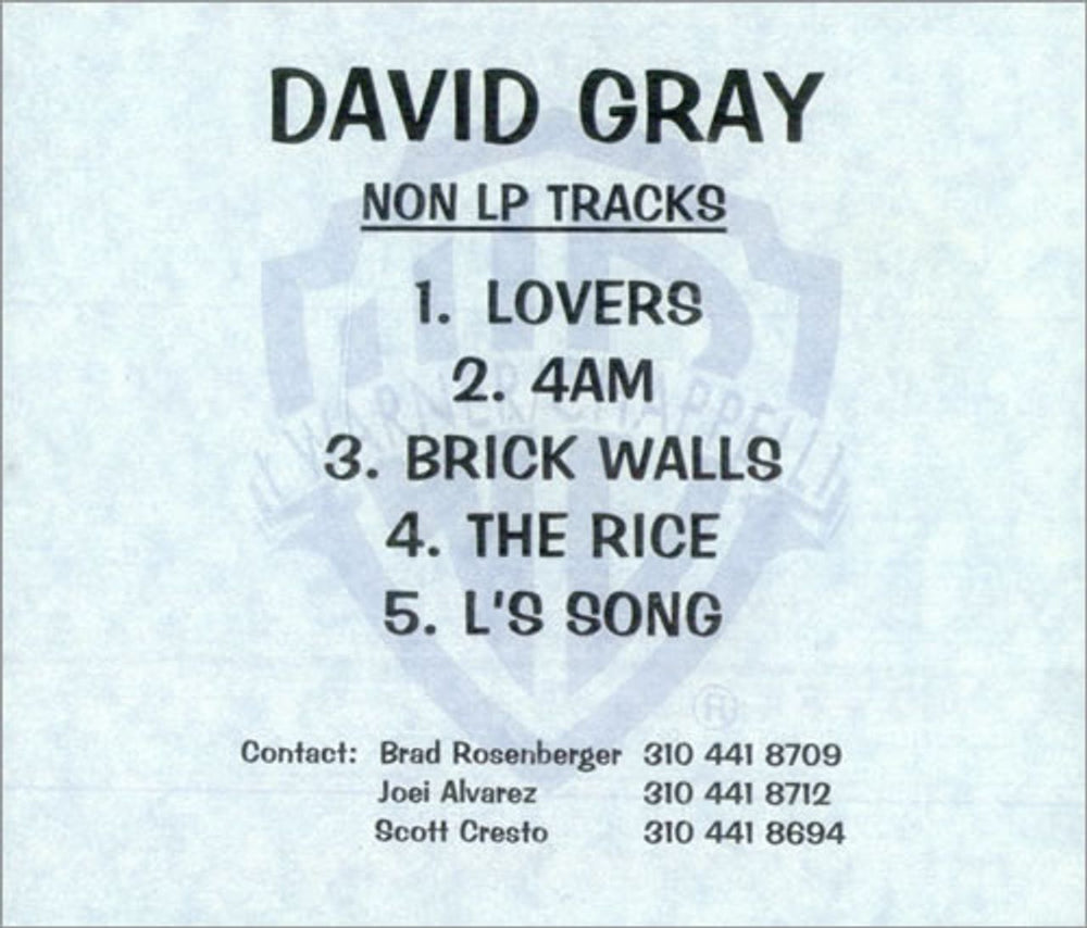 David Gray Non LP Tracks US Promo CD-R acetate CD-R ACETATE