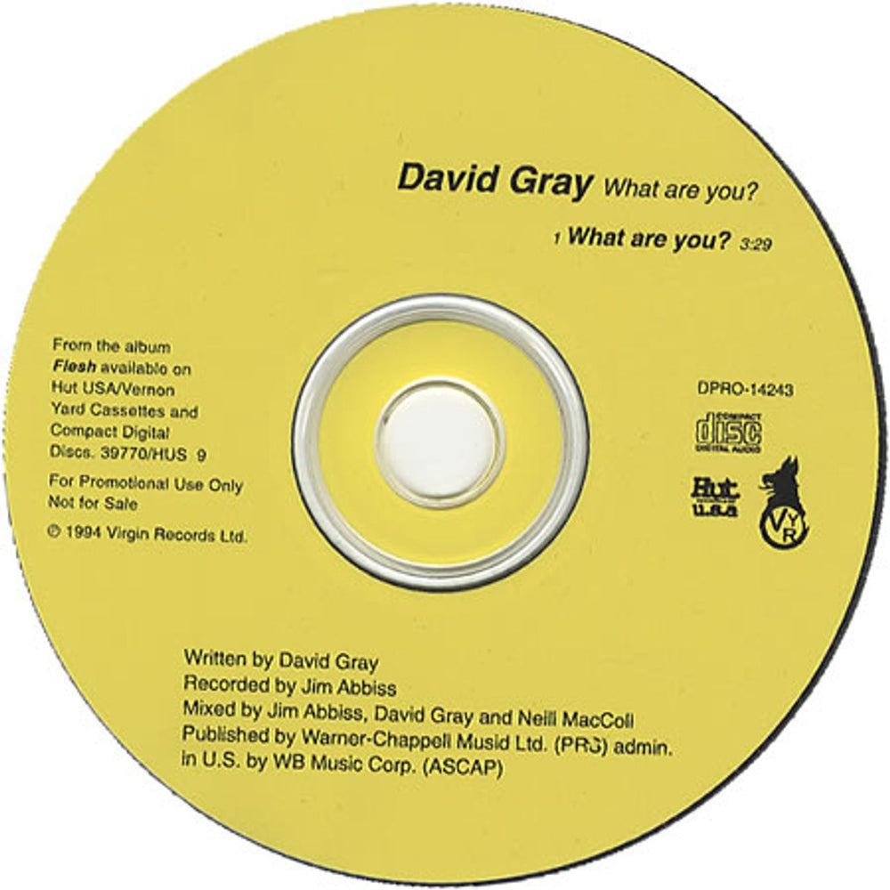 David Gray What Are You? US Promo CD single (CD5 / 5") DPRO-14243