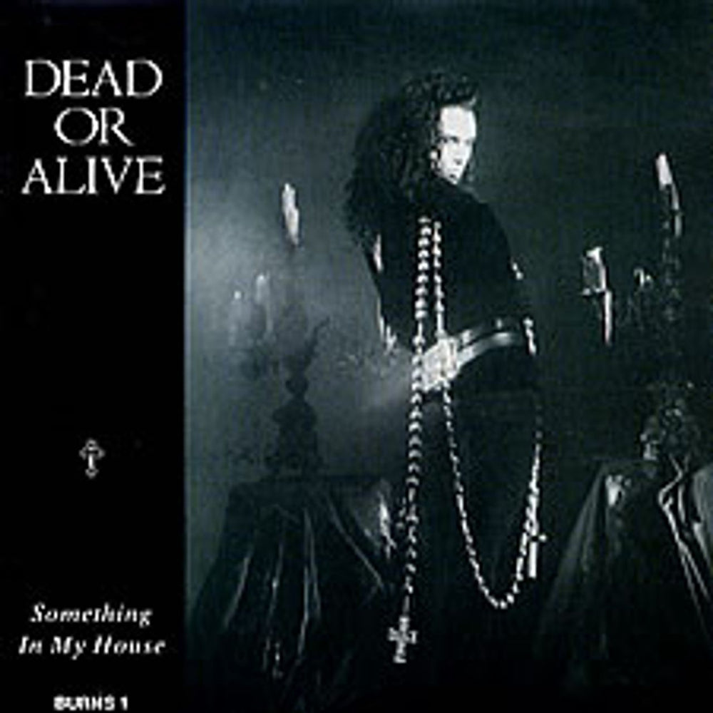 Dead Or Alive Something In My House UK 7" vinyl single (7 inch record / 45) BURNS1