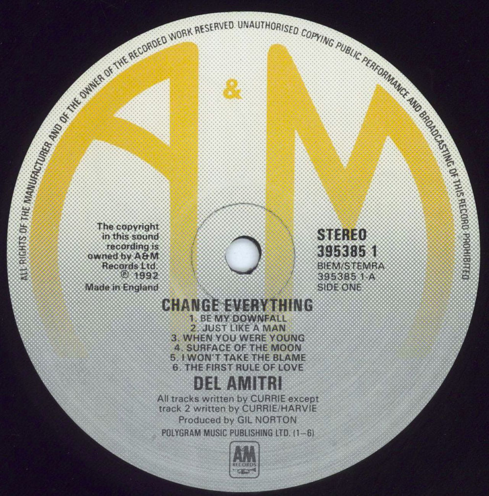 Del Amitri Change Everything + inner UK vinyl LP album (LP record) DELLPCH803198