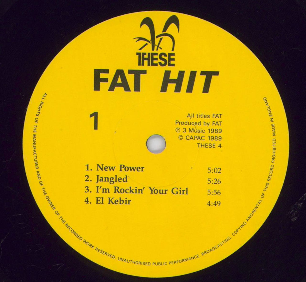 Fat Hit UK vinyl LP album (LP record) F04LPHI829321
