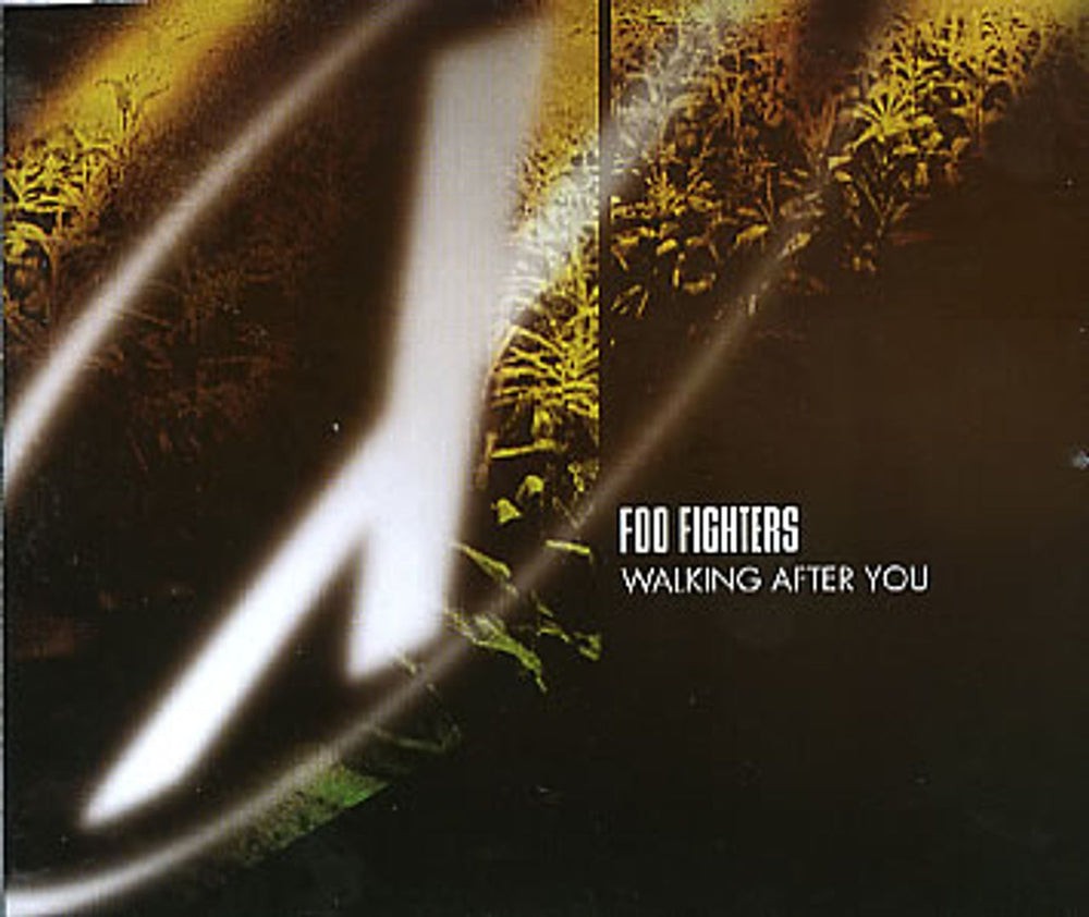 Foo Fighters Walking After You German CD single (CD5 / 5") E4100CD