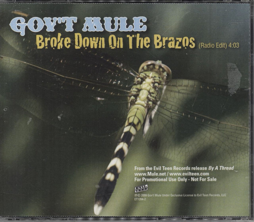 Gov't Mule Broke Down On The Brazos US Promo CD single (CD5 / 5") GVTC5BR494273