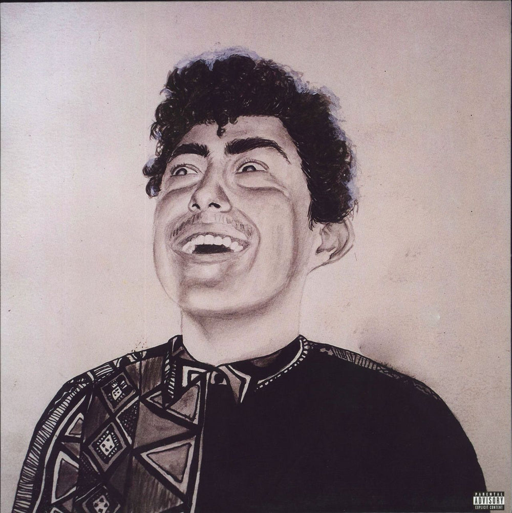 Hobo Johnson The Rise Of Hobo Johnson US vinyl LP album (LP record) 572835-1