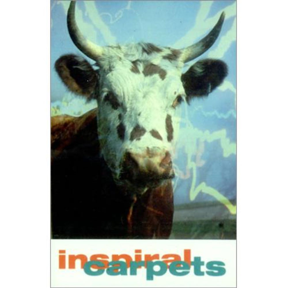 Inspiral Carpets She Comes In The Fall UK cassette single DUNG10MC