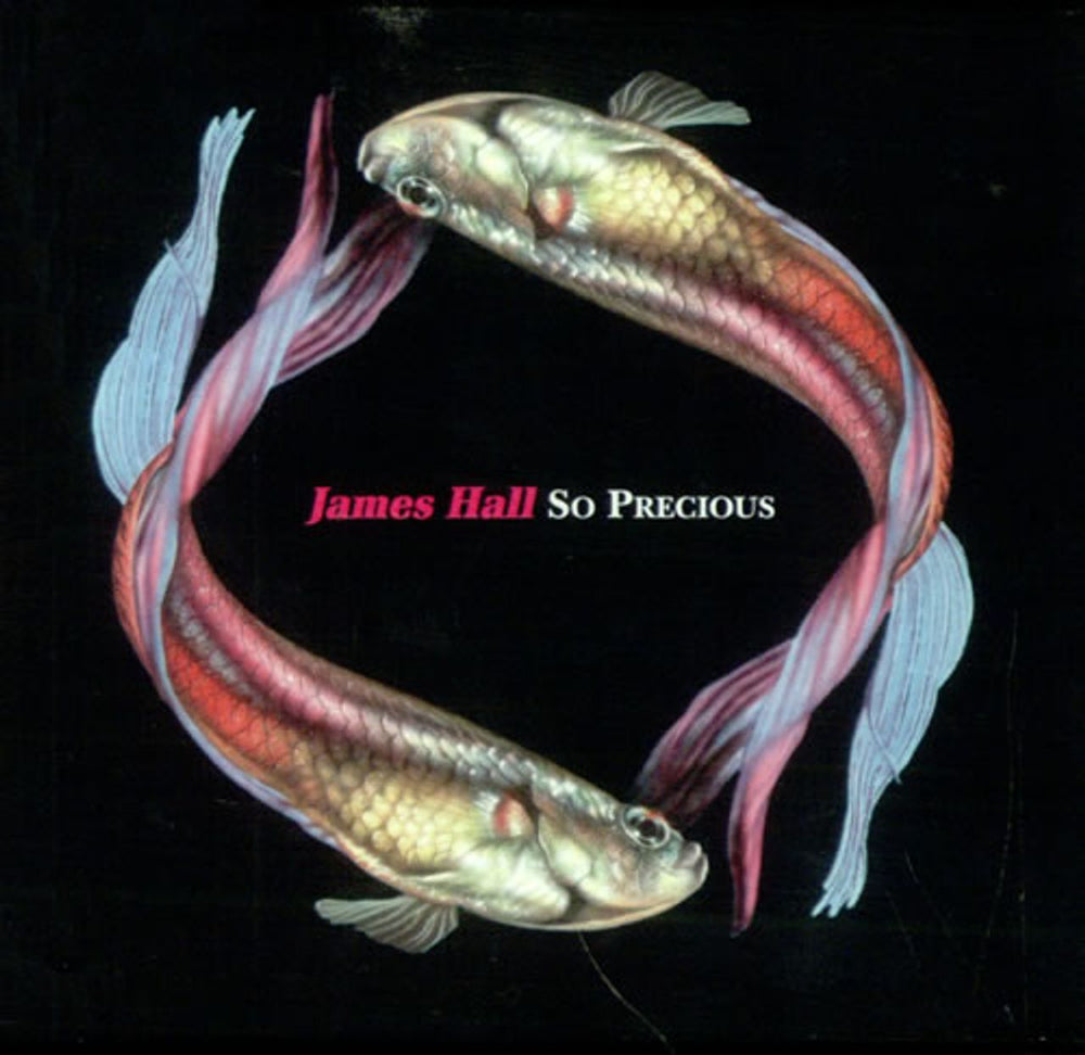 James Hall So Precious UK CD single (CD5 / 5") ENDCD2