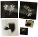 Linkin Park A Thousand Suns - White Vinyl US Vinyl Box Set