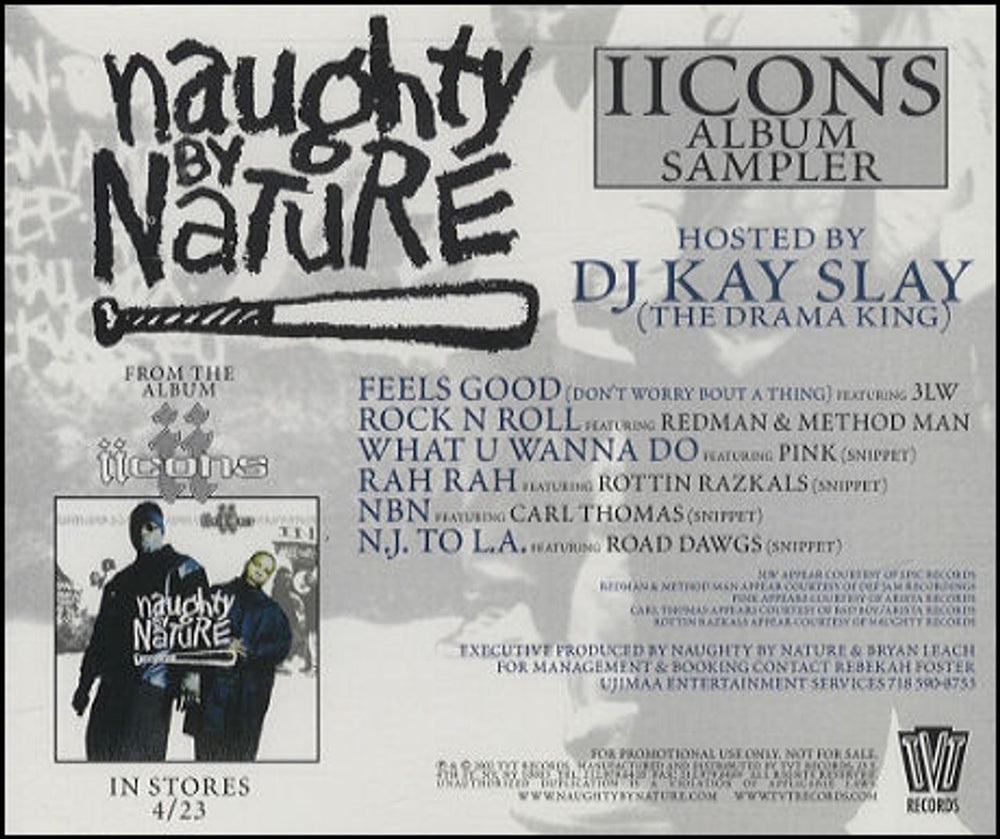 Naughty By Nature Iicons Album Sampler US Promo CD single (CD5 / 5") TVT2346-2P