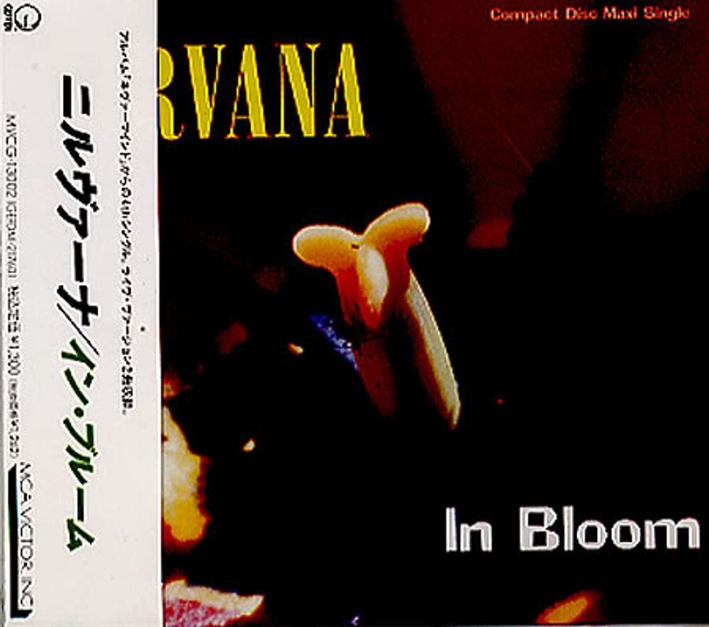 Nirvana (US) In Bloom Japanese CD single (CD5 / 5") MVCG-13002