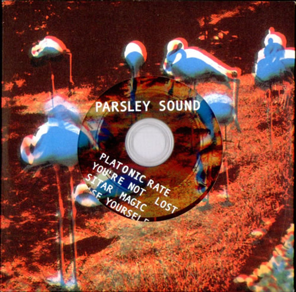 Parsley Sound Platonic Rate UK CD single (CD5 / 5") MWR153CD