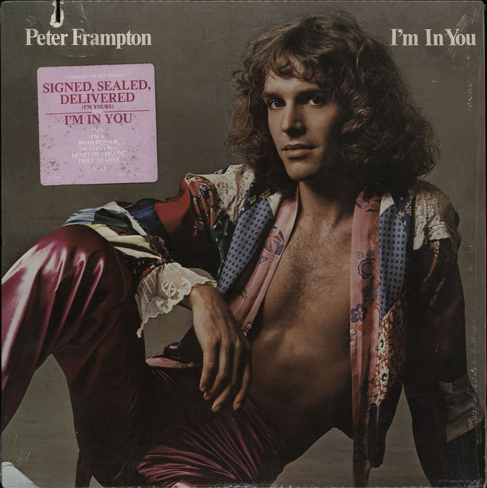 Peter Frampton I'm In You - hype stickered p/s US vinyl LP album (LP record) SP4704