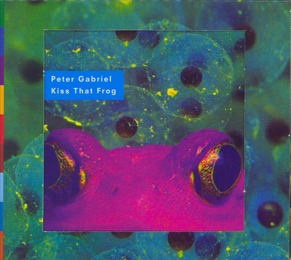 Peter Gabriel Kiss That Frog UK CD single (CD5 / 5") PGSDX10