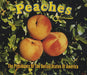 Presidents Of The USA Peaches UK CD single (CD5 / 5") 6631072