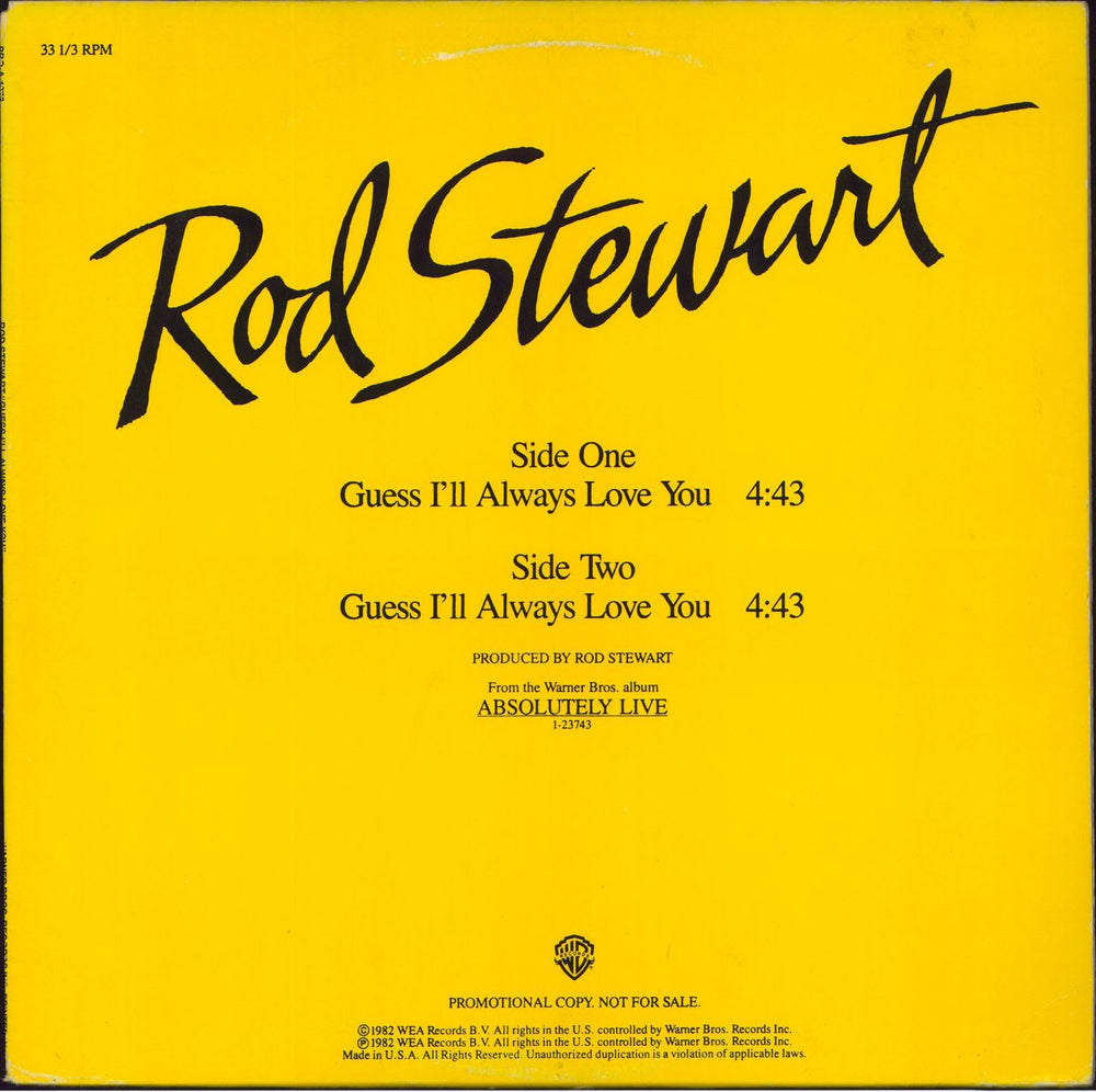 Rod Stewart Guess I'll Always Love You US Promo 12" vinyl single (12 inch record / Maxi-single) PRO-A-1078