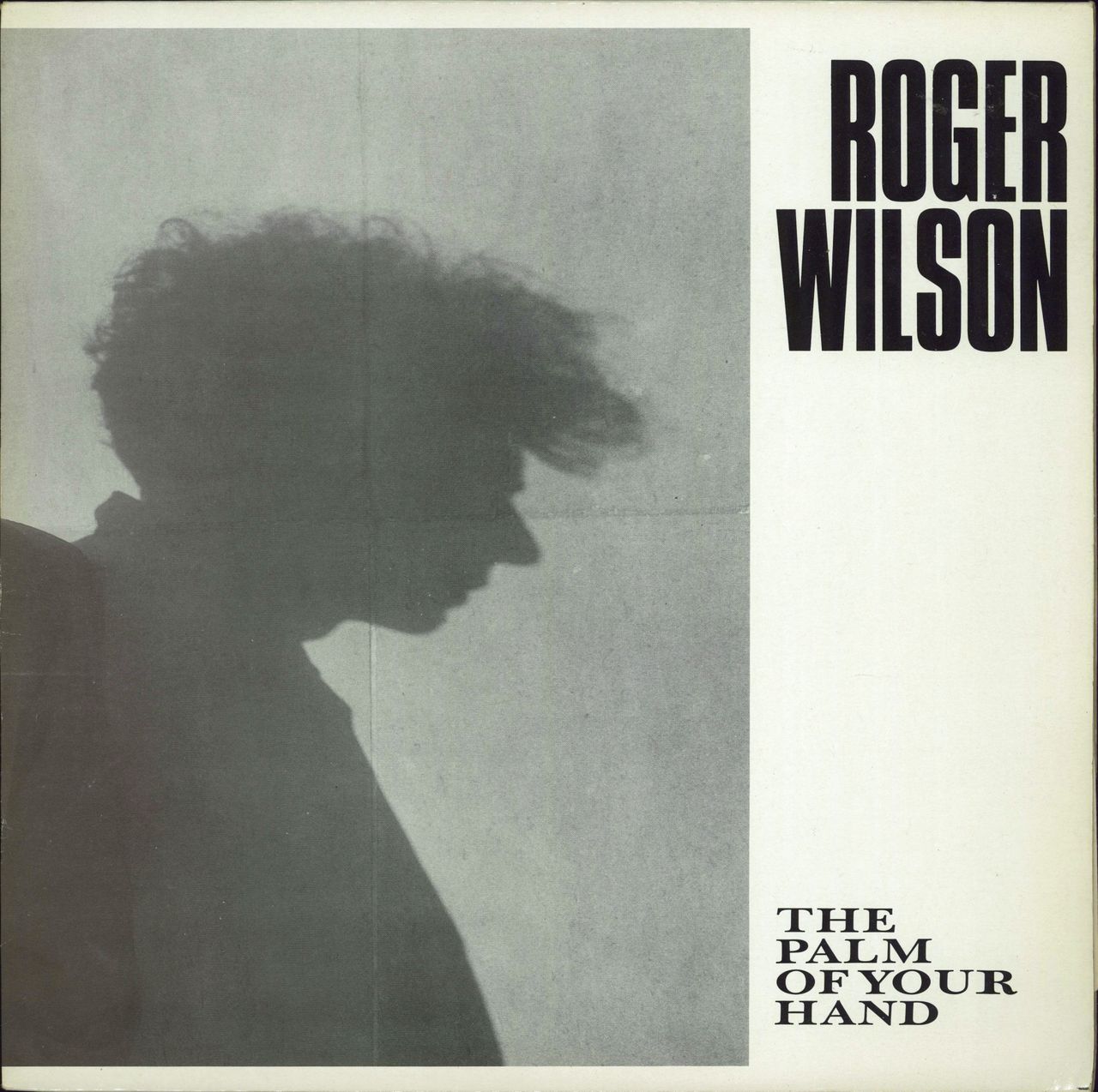 Roger Wilson