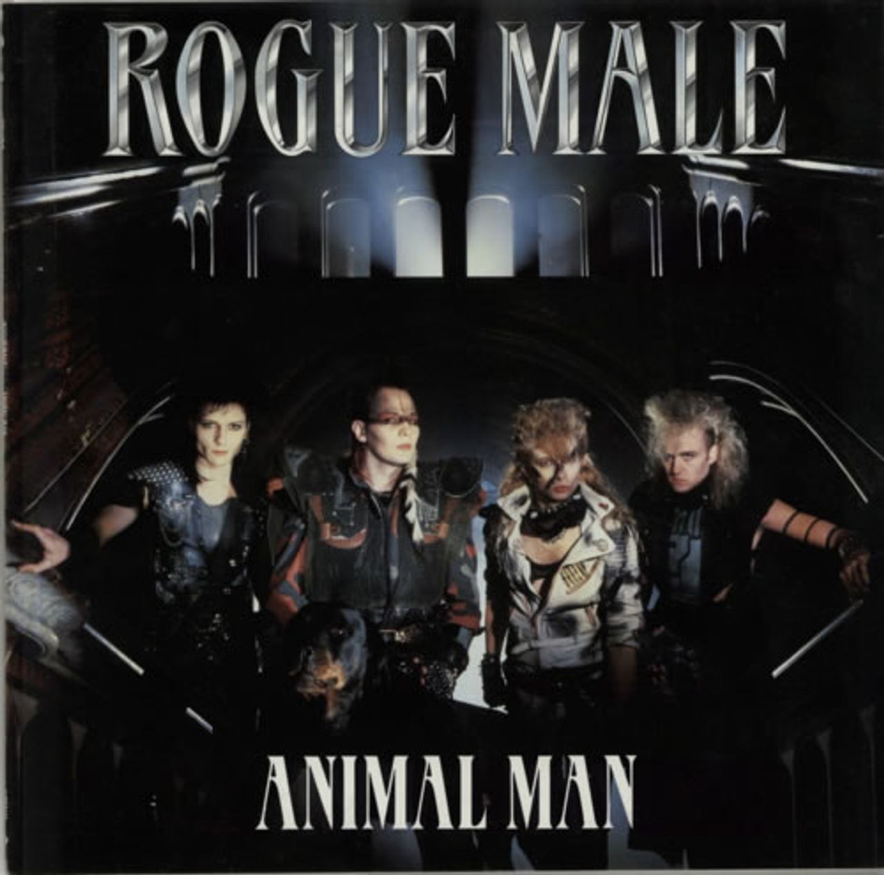 Rogue Male