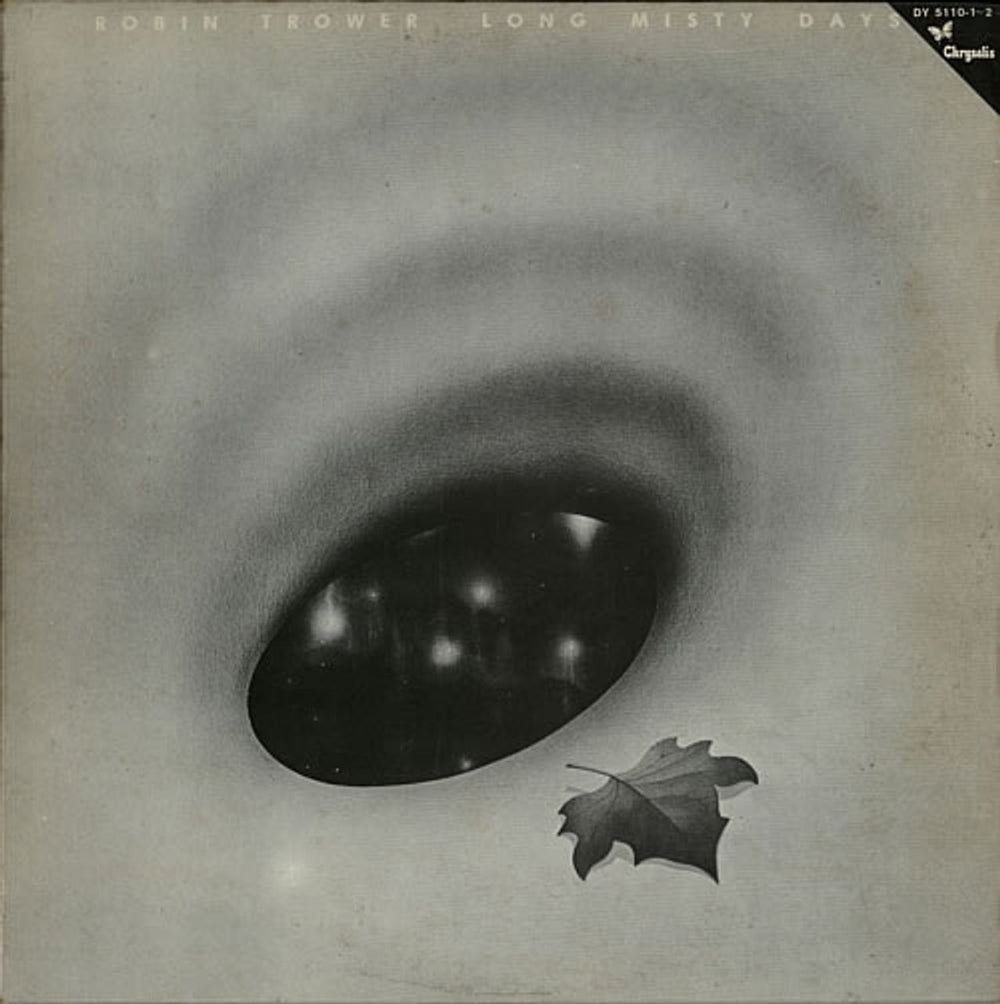 Rory Gallagher Long Misty Days/ Calling Card Japanese Promo 2-LP vinyl record set (Double LP Album) DY5110-1~2