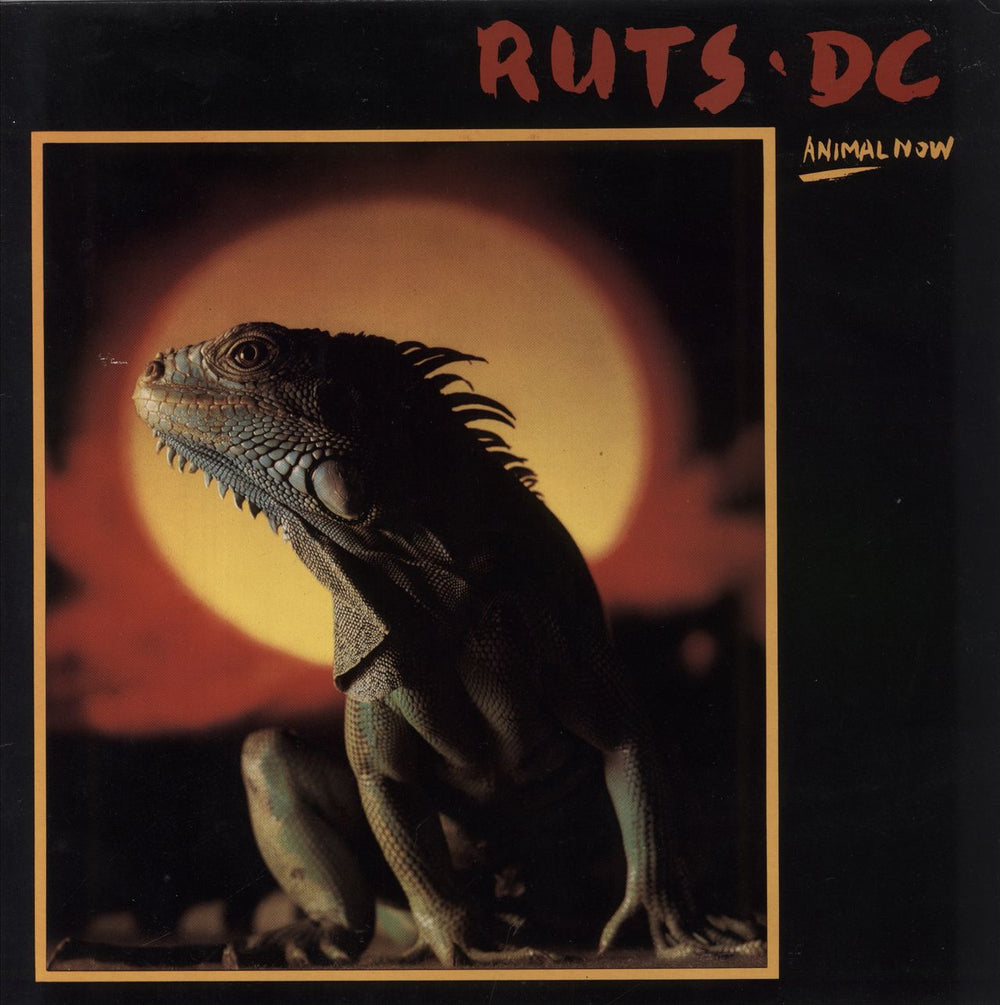 Ruts D.C. Animal Now - EX UK vinyl LP album (LP record) V2193