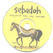 Sebadoh Beauty Of The Ride UK CD single (CD5 / 5") SDHC5BE340149