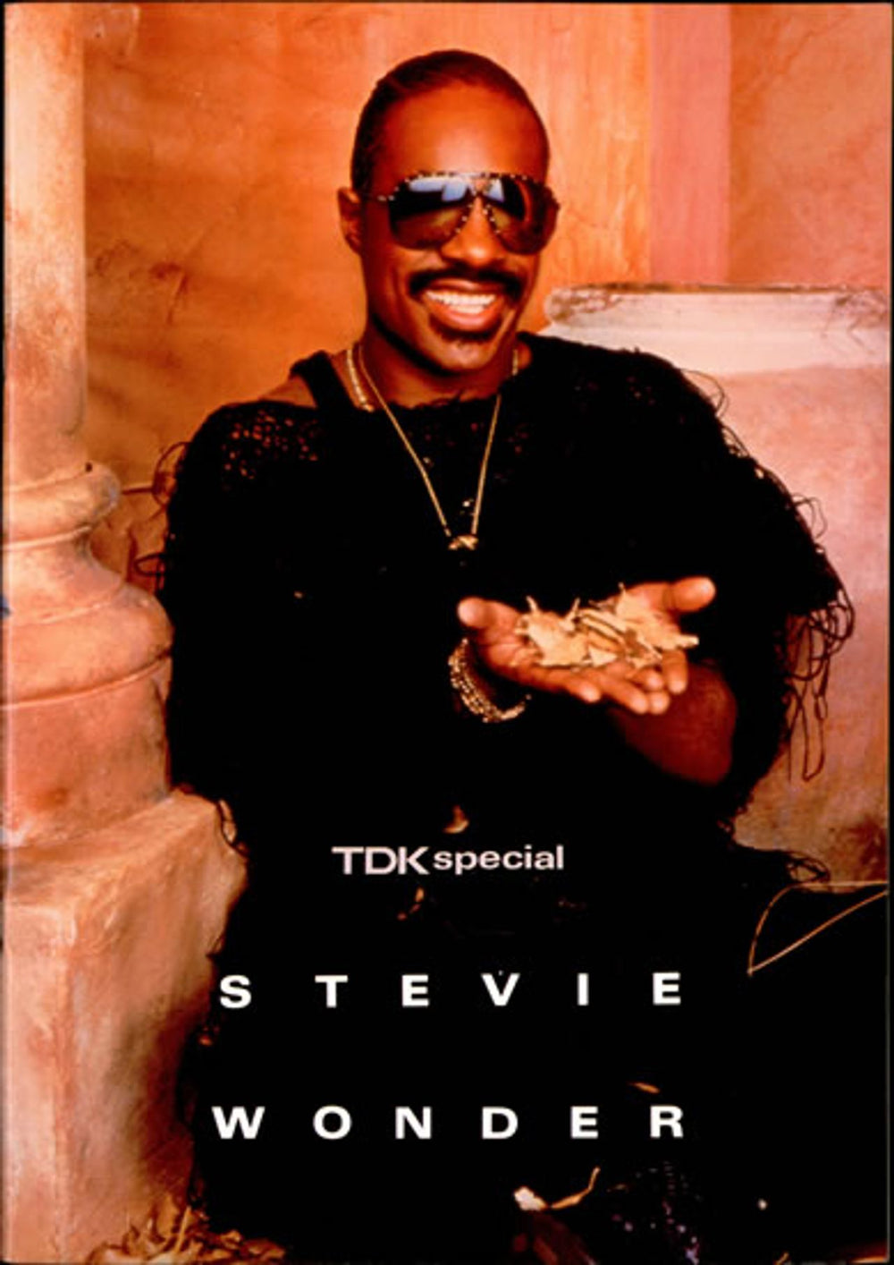 Stevie Wonder Starlight Concert Japanese tour programme TOUR PROGRAMME