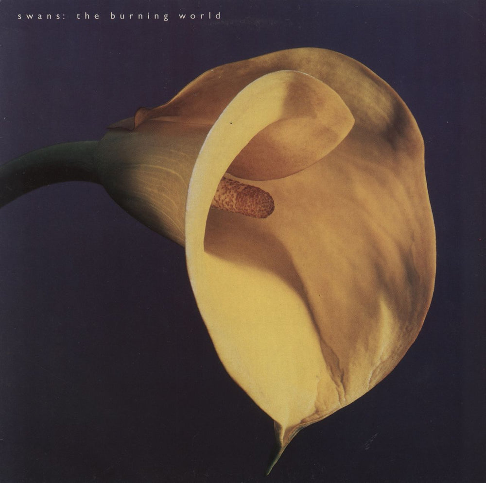 Swans The Burning World - VG UK vinyl LP album (LP record) MCG6047