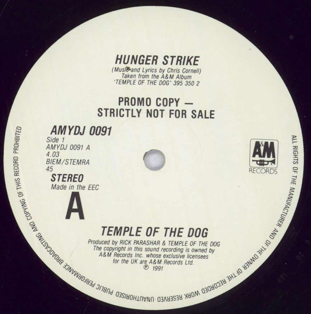 Temple of the Dog Hunger Strike UK Promo 12" vinyl single (12 inch record / Maxi-single) AMYDJ0091