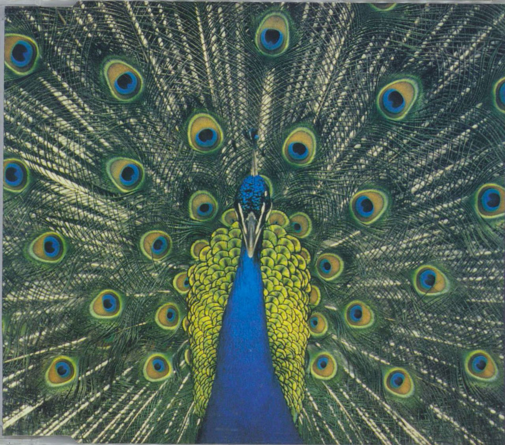 The Bluetones Expecting To Fly UK Promo CD album (CDLP) TONE2