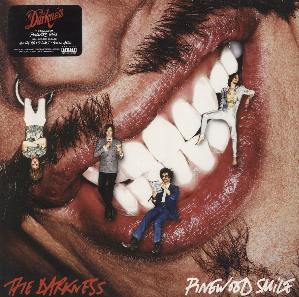 The Darkness Pinewood Smile UK vinyl LP album (LP record) COOKLP675