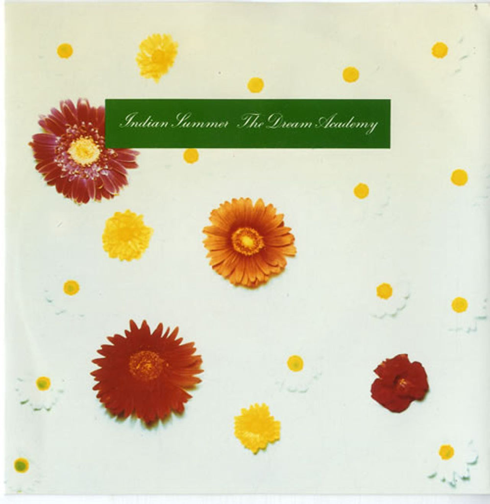 The Dream Academy Indian Summer UK 7" vinyl single (7 inch record / 45) NEG27