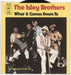 The Isley Brothers What It Comes Down To German 7" vinyl single (7 inch record / 45) EPC2029