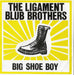 The Ligament Blub Brothers Big Shoe Boy UK 7" vinyl single (7 inch record / 45) BLUB01