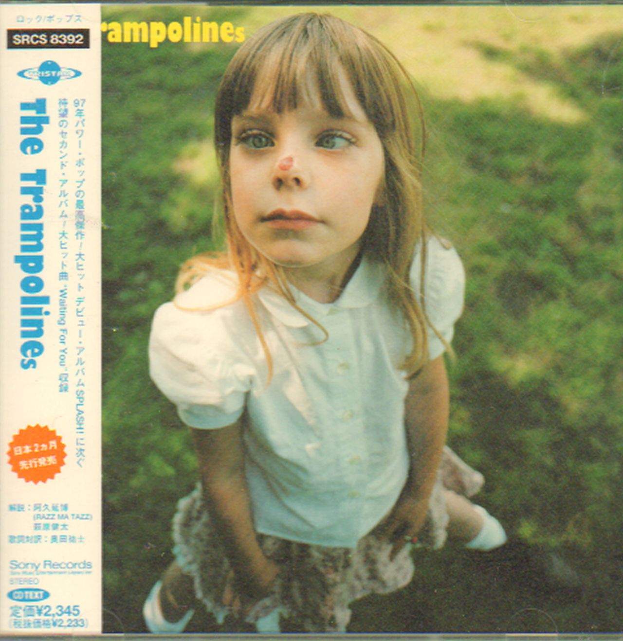 The Trampolines