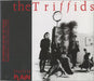 The Triffids (80s) Treeless Plain UK Promo CD single (CD5 / 5") REWIGCD23P