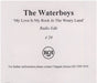 The Waterboys My Love Is My Rock In The Weary Land UK Promo CD-R acetate CD ACETATE