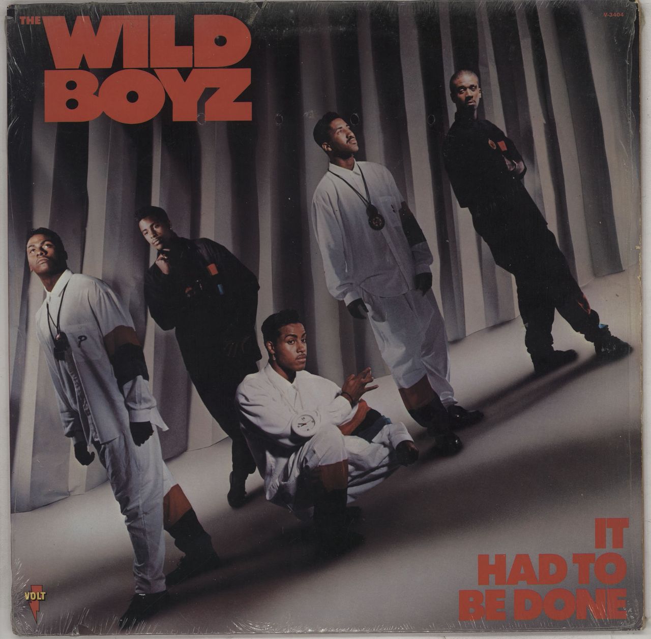 The Wild Boyz