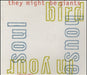 They Might Be Giants Birdhouse In Your Soul German CD single (CD5 / 5") EKR104CD