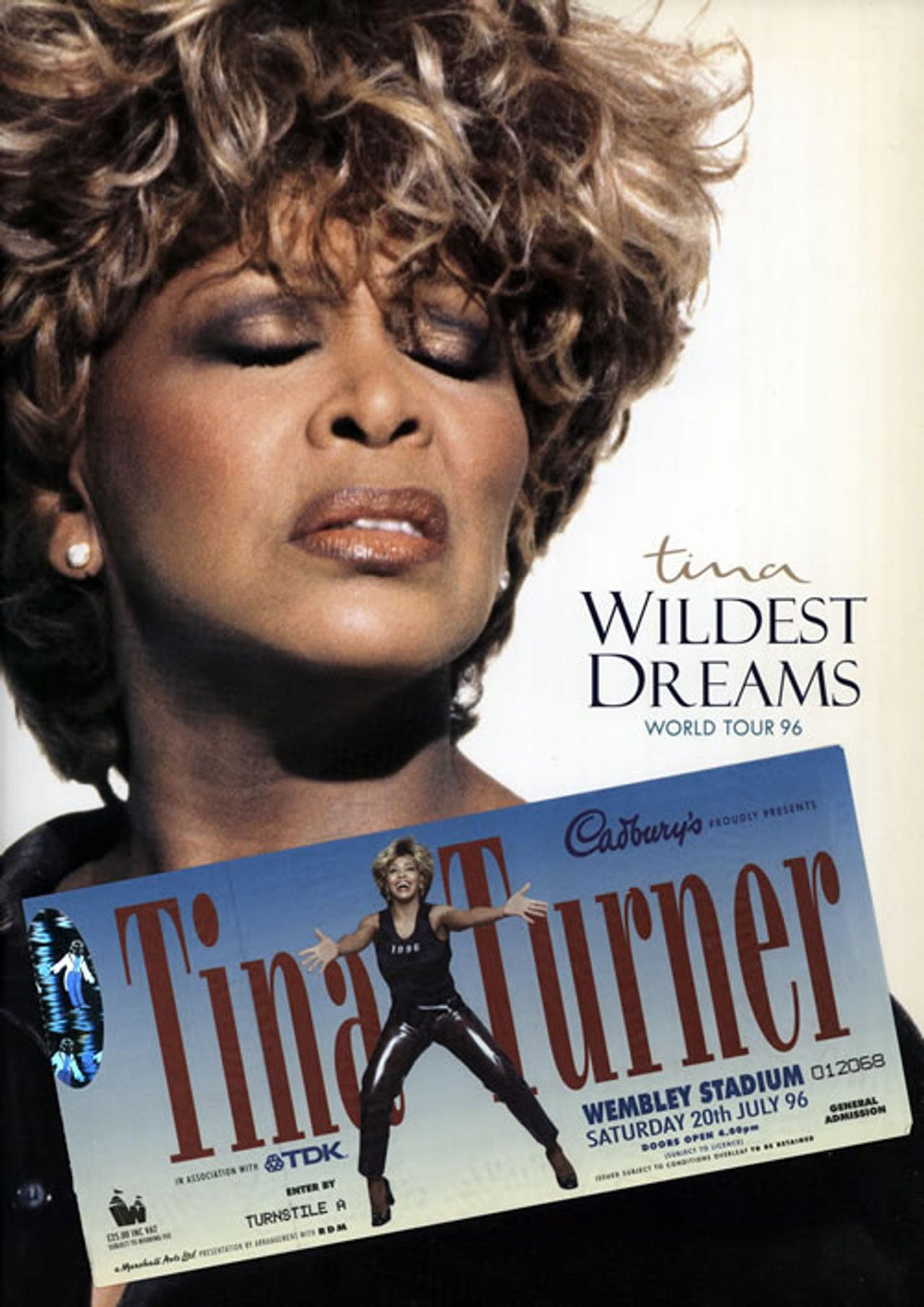 Tina Turner Wildest Dreams World Tour '96 + Tickets/Photo UK tour programme TOUR PROGRAMME