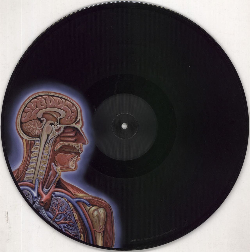 Tool Lateralus Limited Edition Vinyl LP online Picture Disc Record New Factory Sealed