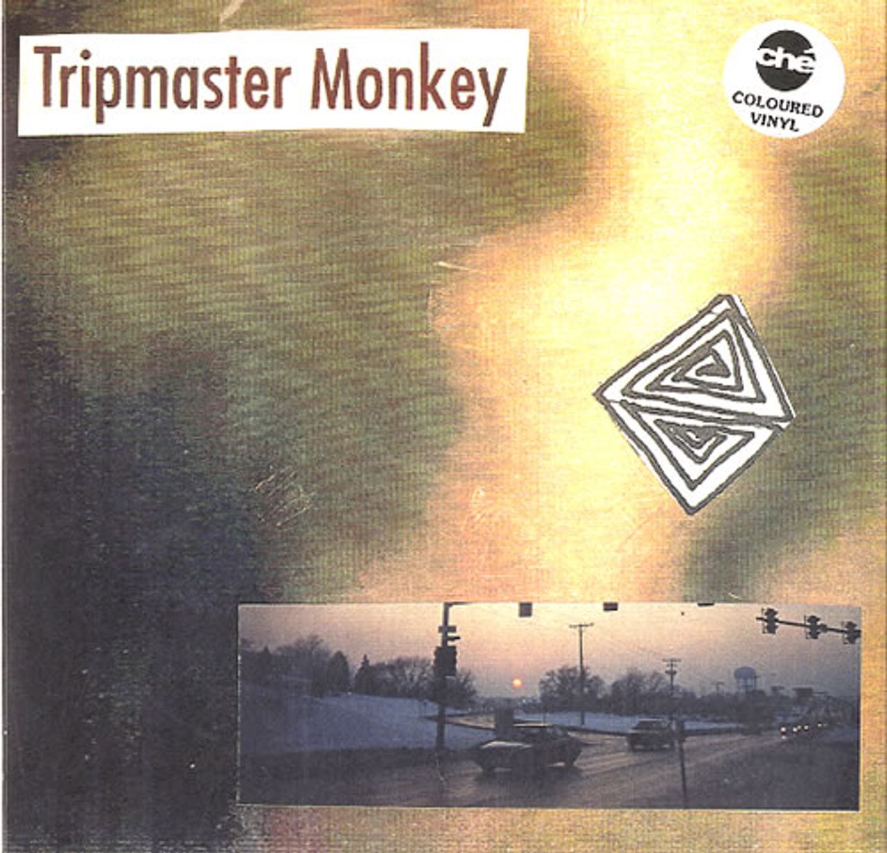 Tripmaster Monkey