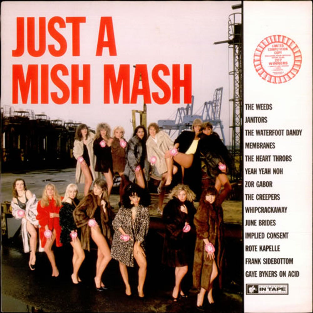 Various-Indie Just A Mish Mash UK vinyl LP album (LP record) IT47