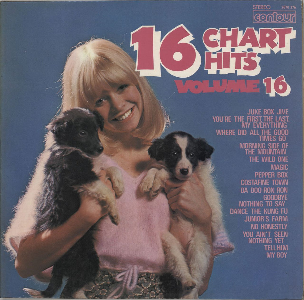 Various-Pop 16 Chart Hits Volume 16 UK vinyl LP album (LP record) 2870376