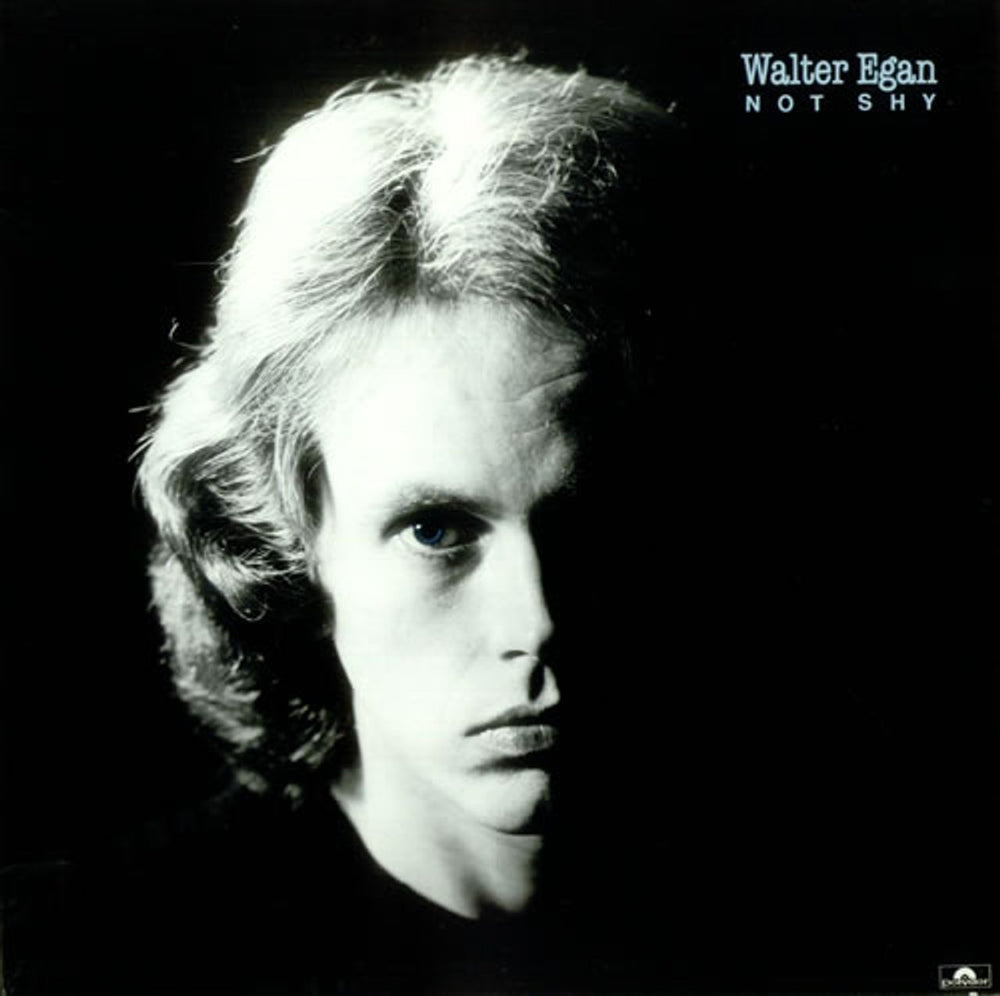 Walter Egan Not Shy UK vinyl LP album (LP record) 2310609