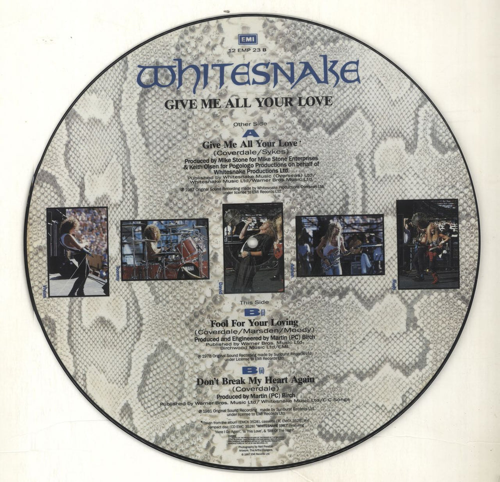 Whitesnake Give Me All Your Love UK 12" vinyl picture disc (12 inch picture record) WHI2PGI538740